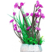 УЮТ Растение аквариумное Гемиантус с лиловыми цветами, 24 см – интернет-магазин Ле’Муррр